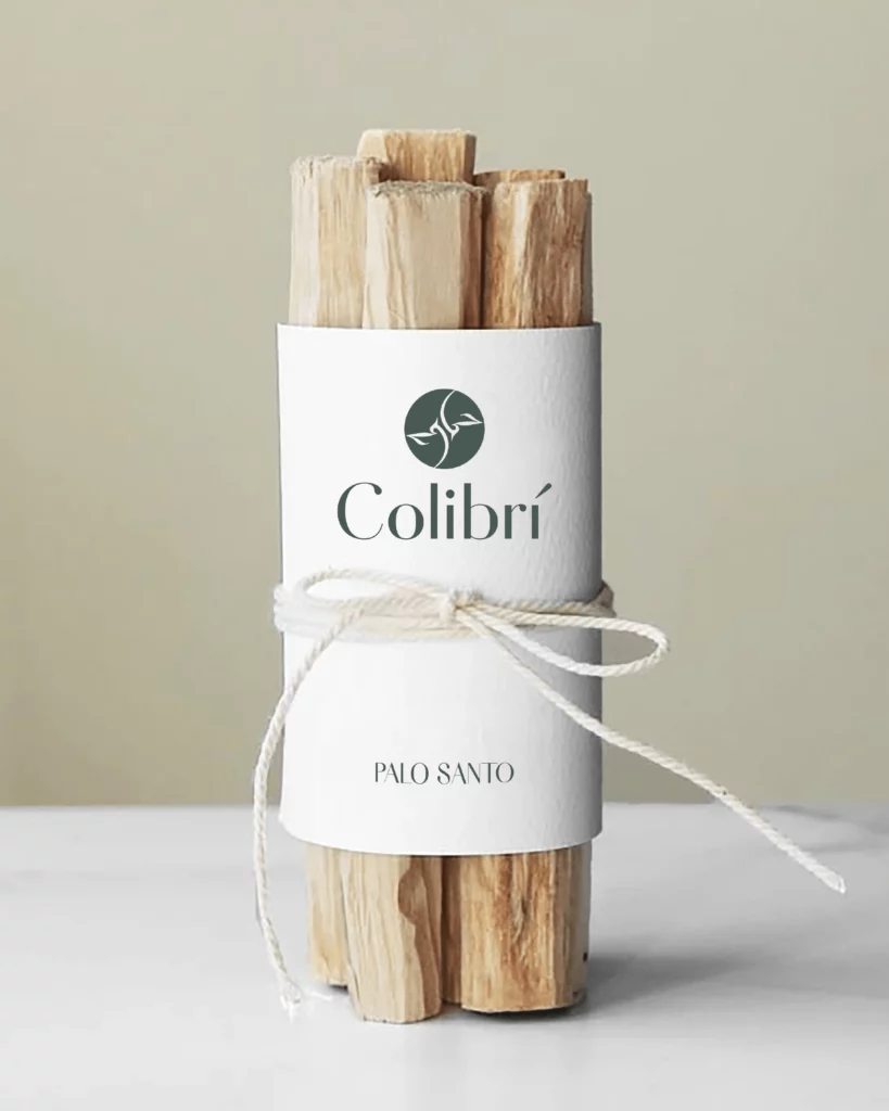 Proyecto de diseño Colibrí